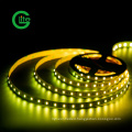 3years Warranty LED Light Stripsmd5050 Rgbww 60LED 19W Ra80 LED Strip DC24 LED Light Strip